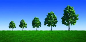 Business-Growth-Coaching-web