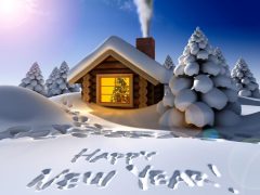 happy-new-year-2017-1-1024x768
